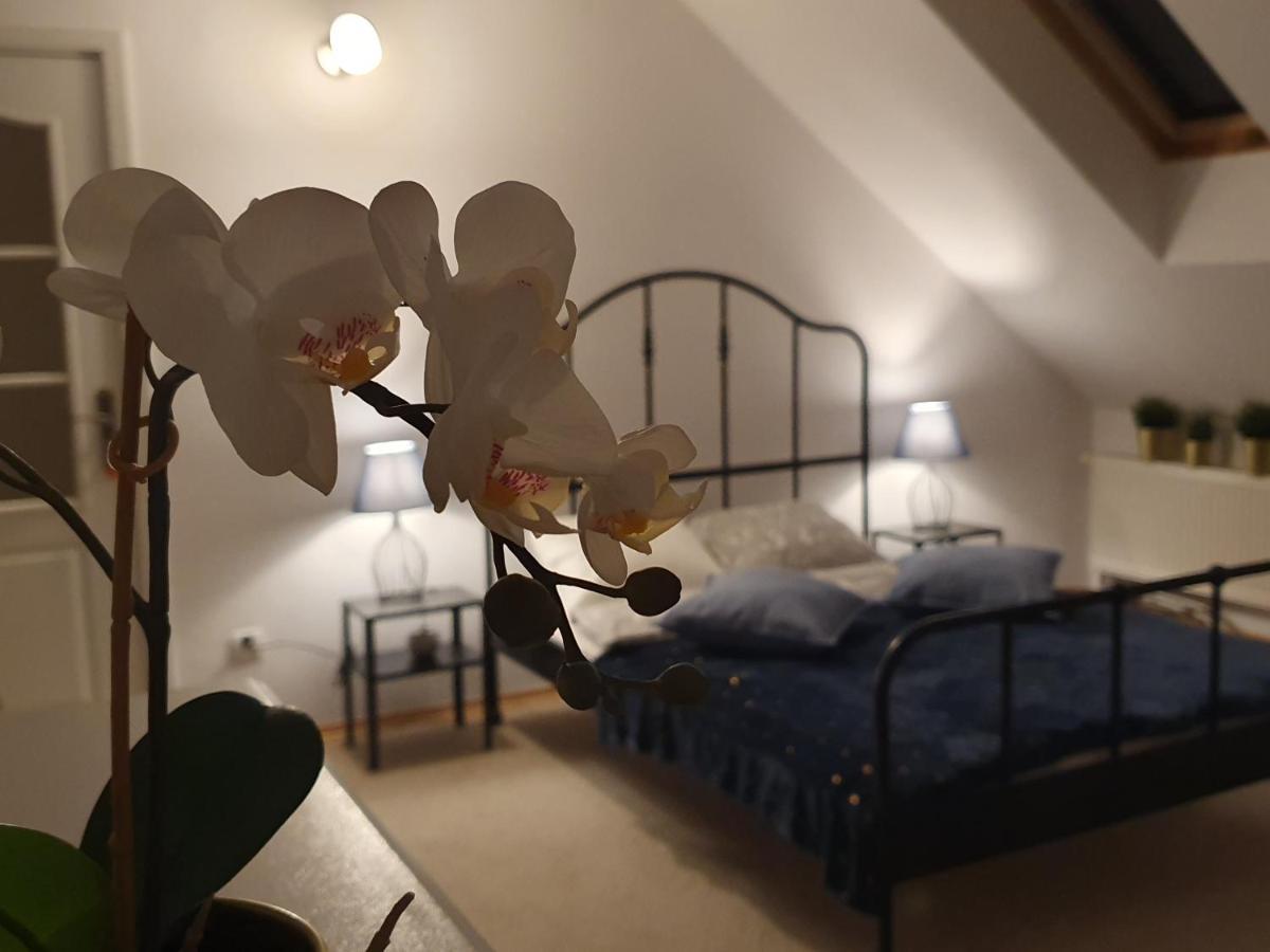 Mieszko Rooms Legionowo Eksteriør billede